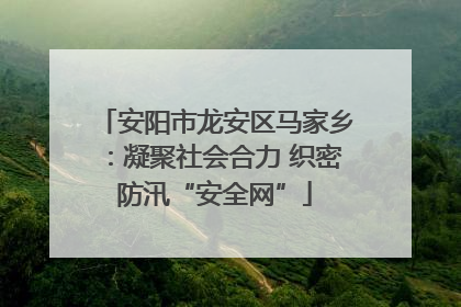 安阳市龙安区马家乡：凝聚社会合力 织密防汛“安全网”