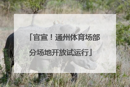 官宣！通州体育场部分场地开放试运行
