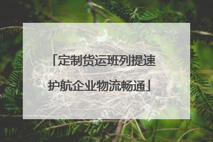 定制货运班列提速 护航企业物流畅通