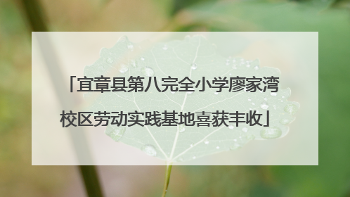 宜章县第八完全小学廖家湾校区劳动实践基地喜获丰收