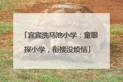 宜宾洗马池小学：童眼探小学，衔接没烦恼
