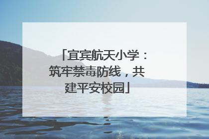 宜宾航天小学：筑牢禁毒防线，共建平安校园