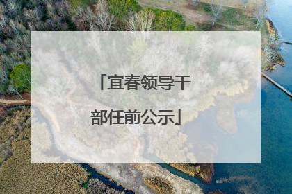 宜春领导干部任前公示