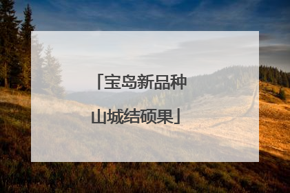 宝岛新品种 山城结硕果
