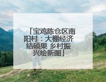 宝鸡陈仓区南阳村：大棚经济结硕果 乡村振兴绘新图
