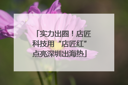 实力出圈！店匠科技用“店匠红”点亮深圳出海热