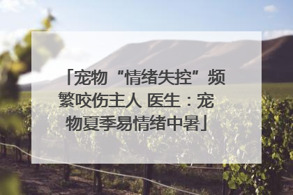 宠物“情绪失控”频繁咬伤主人 医生：宠物夏季易情绪中暑