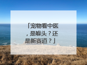 宠物看中医，是噱头？还是新赛道？