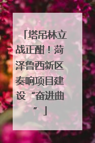 塔吊林立战正酣！菏泽鲁西新区奏响项目建设“奋进曲”