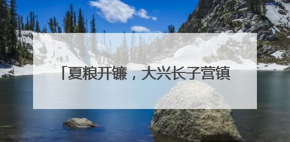 夏粮开镰，大兴长子营镇近6000亩小麦迎丰收