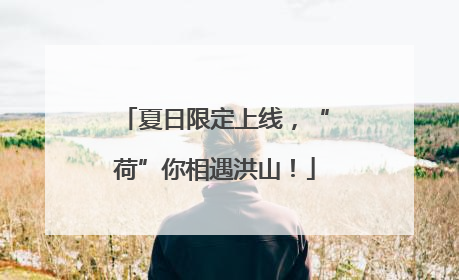 夏日限定上线，“荷”你相遇洪山！
