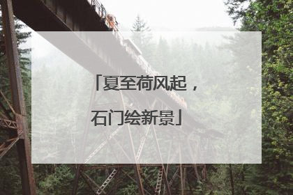夏至荷风起，石门绘新景