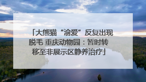 大熊猫“渝爱”反复出现脱毛 重庆动物园：暂时转移至非展示区静养治疗