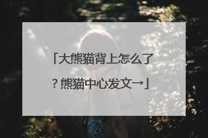 大熊猫背上怎么了？熊猫中心发文→