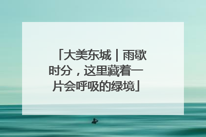大美东城｜雨歇时分，这里藏着一片会呼吸的绿境