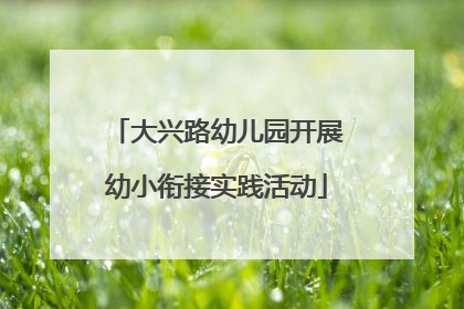 大兴路幼儿园开展幼小衔接实践活动