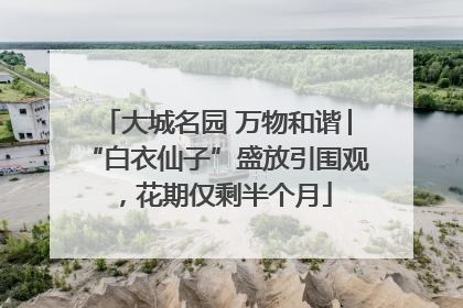 大城名园 万物和谐│“白衣仙子”盛放引围观，花期仅剩半个月