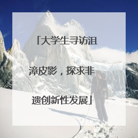 大学生寻访沮漳皮影，探求非遗创新性发展