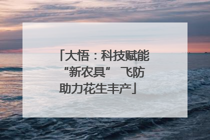 大悟：科技赋能“新农具” 飞防助力花生丰产