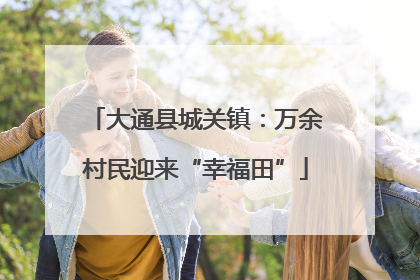 大通县城关镇：万余村民迎来“幸福田”