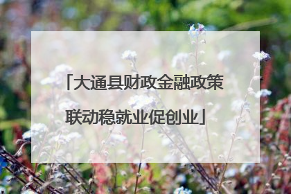 大通县财政金融政策联动稳就业促创业