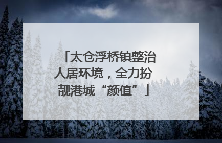 太仓浮桥镇整治人居环境，全力扮靓港城“颜值”