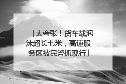 太夸张！货车载泡沫超长七米，高速服务区被民警抓现行