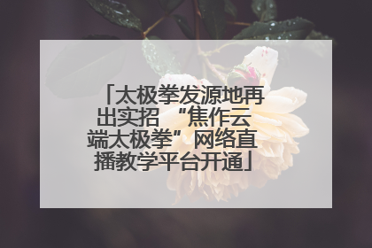 太极拳发源地再出实招 “焦作云端太极拳”网络直播教学平台开通
