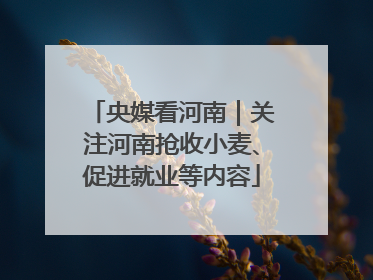 央媒看河南｜关注河南抢收小麦、促进就业等内容