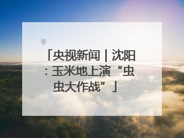 央视新闻｜沈阳：玉米地上演“虫虫大作战”