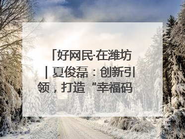 好网民·在潍坊｜夏俊磊：创新引领，打造“幸福码头”典范