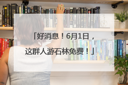 好消息！6月1日，这群人游石林免费！
