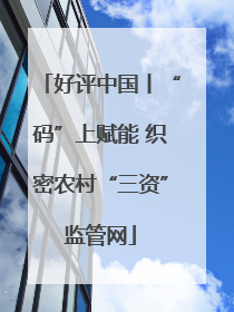 好评中国丨“码”上赋能 织密农村“三资”监管网