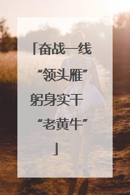 奋战一线“领头雁” 躬身实干“老黄牛”