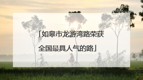 如皋市龙游湾路荣获全国最具人气的路
