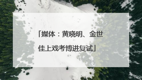 媒体：黄晓明、金世佳上戏考博进复试
