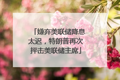 嫌弃美联储降息太迟，特朗普再次抨击美联储主席