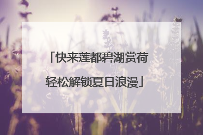 快来莲都碧湖赏荷 轻松解锁夏日浪漫