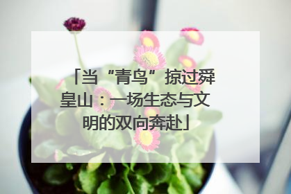 当“青鸟”掠过舜皇山：一场生态与文明的双向奔赴