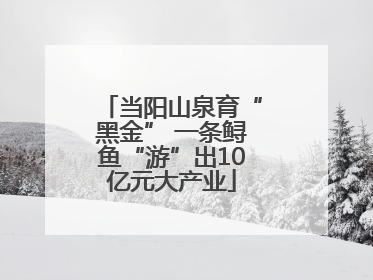当阳山泉育“黑金” 一条鲟鱼“游”出10亿元大产业