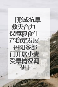 形成抗旱救灾合力 保障粮食生产稳定发展 丹阳多部门开展小麦受旱情况调研
