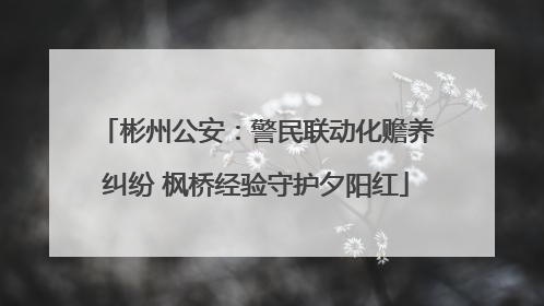 彬州公安：警民联动化赡养纠纷 枫桥经验守护夕阳红