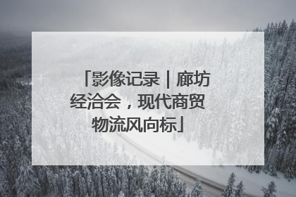 影像记录｜廊坊经洽会，现代商贸物流风向标