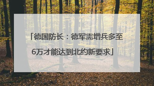 德国防长：德军需增兵多至6万才能达到北约新要求