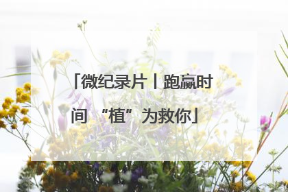 微纪录片丨跑赢时间 “植”为救你