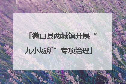 微山县两城镇开展“九小场所”专项治理