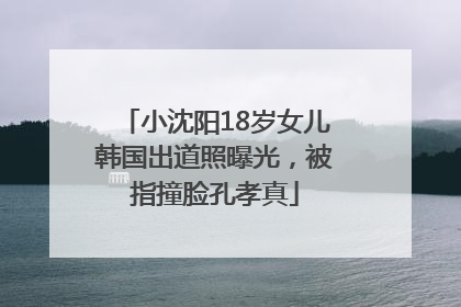 小沈阳18岁女儿韩国出道照曝光，被指撞脸孔孝真