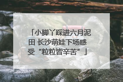 小脚丫踩进六月泥田 长沙萌娃下场感受“粒粒皆辛苦”