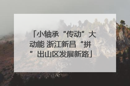 小轴承“传动”大动能 浙江新昌“拼”出山区发展新路