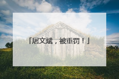屠文斌，被重罚！